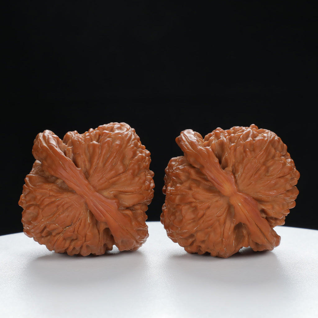 "Lion's Head" Traditional entry level Wenwan Walnuts Pair | Size:41L*40W*34H | UPI:UR-00026