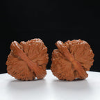 "Lion's Head" Traditional entry level Wenwan Walnuts Pair | Size:41L*40W*34H | UPI:UR-00026