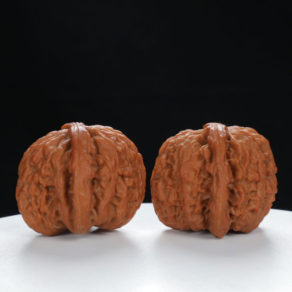 "Lion's Head" Traditional entry level Wenwan Walnuts Pair | Size:41L*40W*34H | UPI:UR-00026
