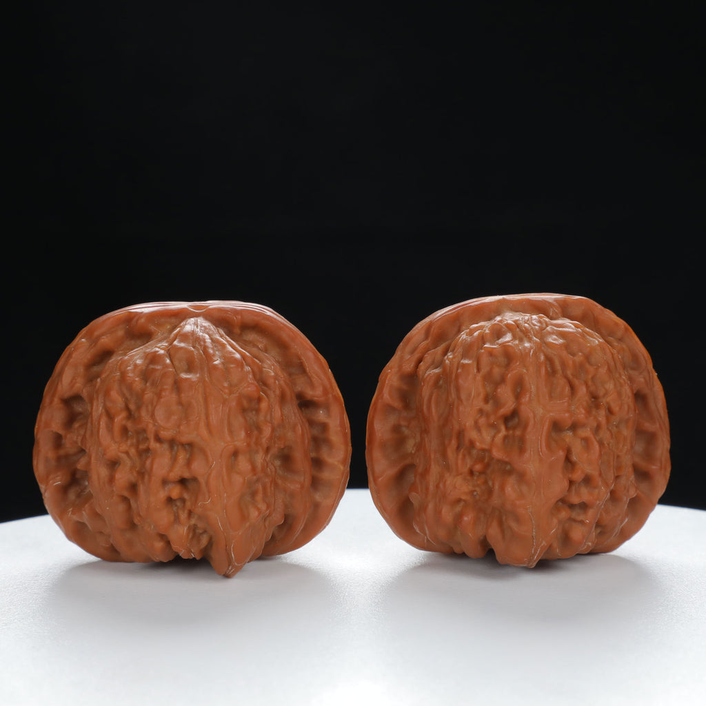 "Lion's Head" Traditional entry level Wenwan Walnuts Pair | Size:41L*40W*34H | UPI:UR-00026