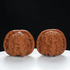 "Lion's Head" Traditional entry level Wenwan Walnuts Pair | Size:41L*40W*34H | UPI:UR-00026