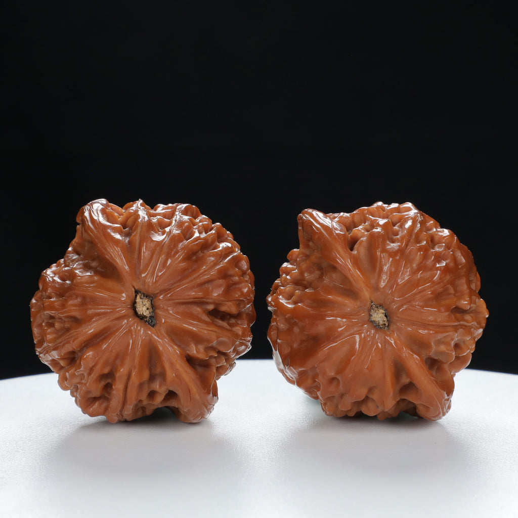 "Millstone" Heritage entry level Wenwan Walnuts Pair | Size:39L*35W*34H | UPI:UR-00027