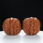 "Millstone" Heritage entry level Wenwan Walnuts Pair | Size:39L*35W*34H | UPI:UR-00027