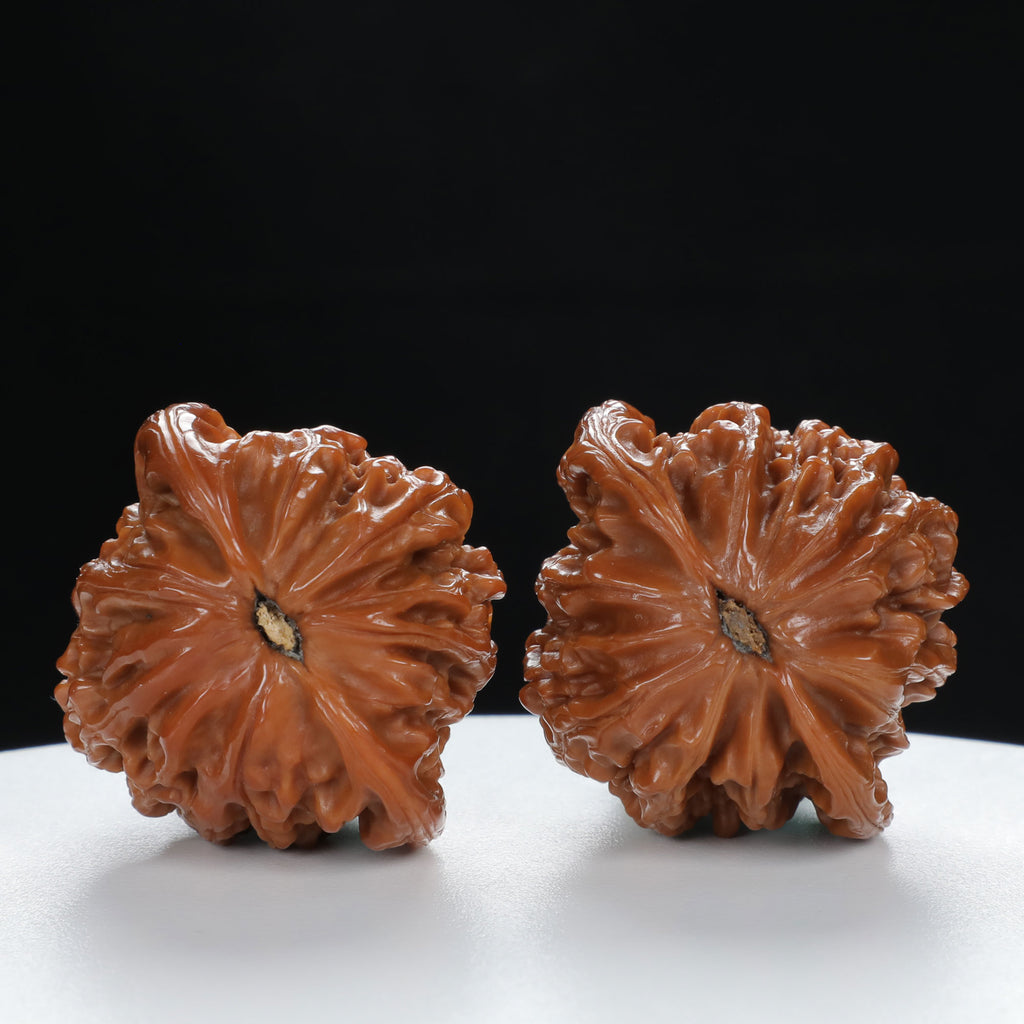 "Millstone" Signature entry level Wenwan Walnuts Pair | Size:39L*40W*34H | UPI:UR-00028