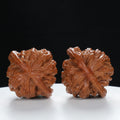 "Millstone" Signature entry level Wenwan Walnuts Pair | Size:39L*40W*34H | UPI:UR-00028