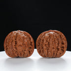"Millstone" Signature entry level Wenwan Walnuts Pair | Size:39L*40W*34H | UPI:UR-00028