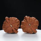 "White Lion's Head" Distinctive entry level Wenwan Walnuts Pair | Size:44L*41W*35H | UPI:UR-00029
