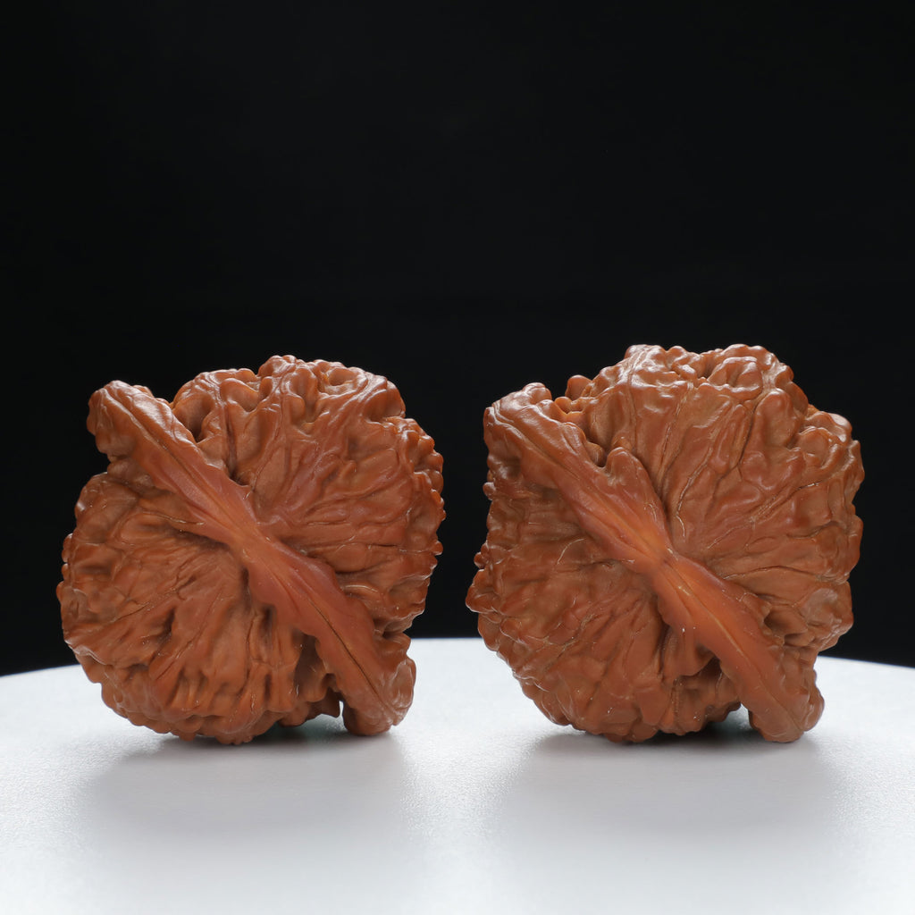 "White Lion's Head" Distinctive entry level Wenwan Walnuts Pair | Size:44L*41W*35H | UPI:UR-00029