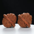 "White Lion's Head" Distinctive entry level Wenwan Walnuts Pair | Size:44L*41W*35H | UPI:UR-00029