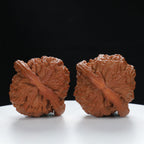 "White Lion's Head" Distinctive entry level Wenwan Walnuts Pair | Size:44L*41W*35H | UPI:UR-00029