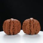 "White Lion's Head" Distinctive entry level Wenwan Walnuts Pair | Size:44L*41W*35H | UPI:UR-00029