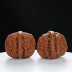 "White Lion's Head" Distinctive entry level Wenwan Walnuts Pair | Size:44L*41W*35H | UPI:UR-00029