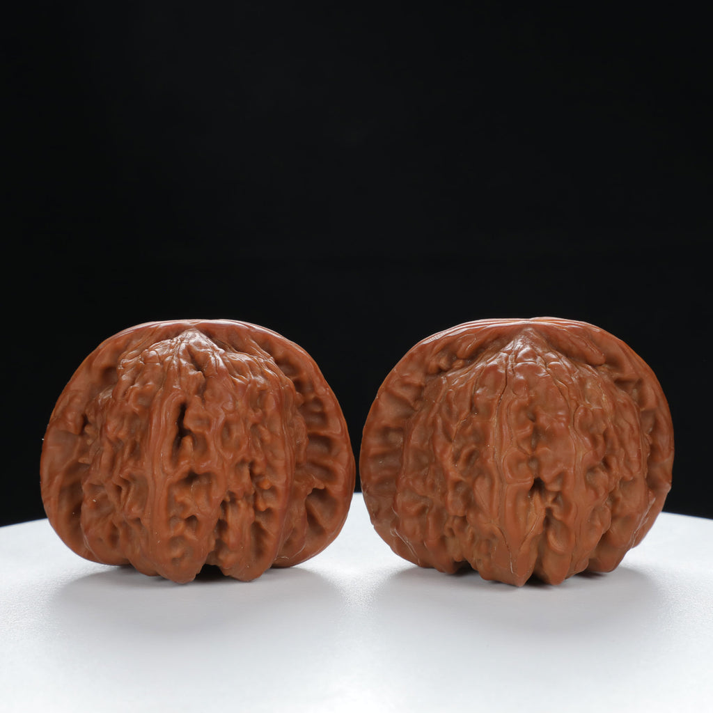 "White Lion's Head" Distinctive entry level Wenwan Walnuts Pair | Size:44L*41W*35H | UPI:UR-00029