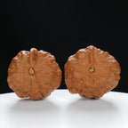 "Single Ridge" Refined entry level Wenwan Walnuts Pair | Size:36L*38W*28H | UPI:UR-00030