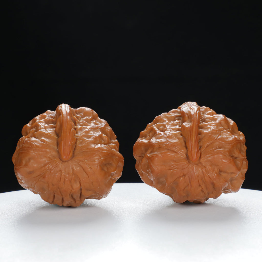 "Single Ridge" Refined entry level Wenwan Walnuts Pair | Size:36L*38W*28H | UPI:UR-00030