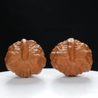 "Single Ridge" Refined entry level Wenwan Walnuts Pair | Size:36L*38W*28H | UPI:UR-00030