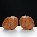 "Single Ridge" Refined entry level Wenwan Walnuts Pair | Size:36L*38W*28H | UPI:UR-00030