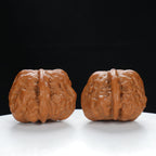 "Single Ridge" Refined entry level Wenwan Walnuts Pair | Size:36L*38W*28H | UPI:UR-00030