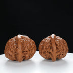 "Palace Lantern" Authentic entry level Wenwan Walnuts Pair | Size:42L*39W*32H | UPI:UR-00031