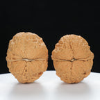 "Toad Head" Original entry level Wenwan Walnuts Pair | Size:32L*38W*34H | UPI:UR-00032