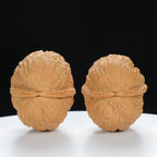 "Toad Head" Original entry level Wenwan Walnuts Pair | Size:32L*38W*34H | UPI:UR-00032