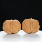 "Toad Head" Original entry level Wenwan Walnuts Pair | Size:32L*38W*34H | UPI:UR-00032