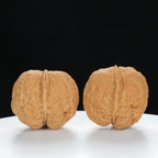 "Toad Head" Original entry level Wenwan Walnuts Pair | Size:32L*38W*34H | UPI:UR-00032