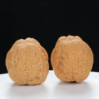 "Toad Head" Original entry level Wenwan Walnuts Pair | Size:32L*38W*34H | UPI:UR-00032