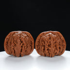 "Si Zuo Lou" Handpicked entry level Wenwan Walnuts Pair | Size:40L*40W*32H | UPI:UR-00034