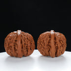 "Si Zuo Lou" Handpicked entry level Wenwan Walnuts Pair | Size:40L*40W*32H | UPI:UR-00034