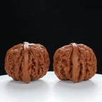 "Si Zuo Lou" Handpicked entry level Wenwan Walnuts Pair | Size:40L*40W*32H | UPI:UR-00034