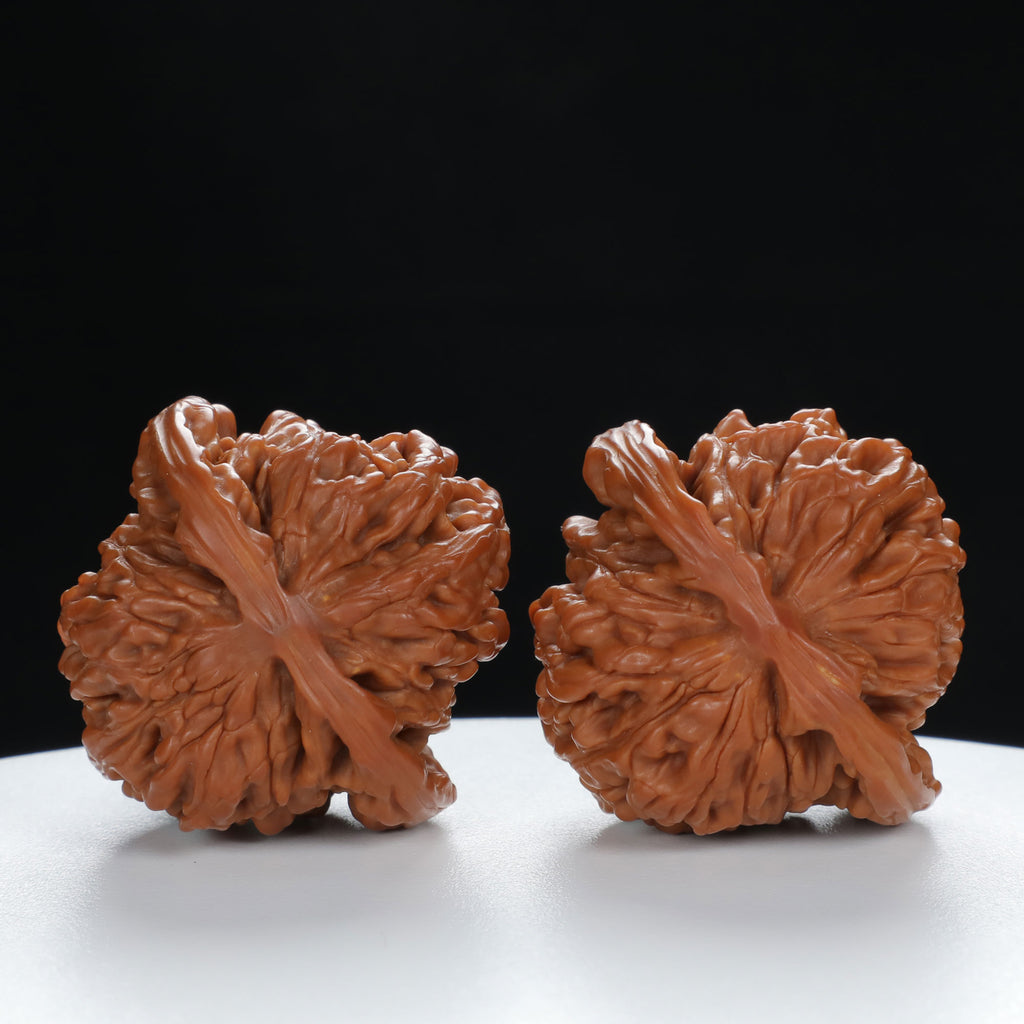 "Si Zuo Lou" Handpicked entry level Wenwan Walnuts Pair | Size:40L*40W*32H | UPI:UR-00034