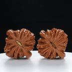 "Si Zuo Lou" Handpicked entry level Wenwan Walnuts Pair | Size:40L*40W*32H | UPI:UR-00034