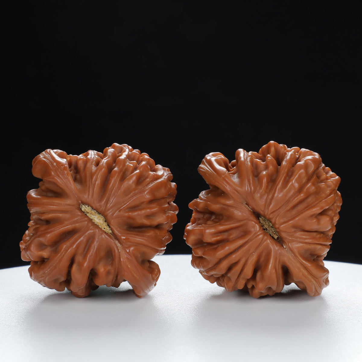 "Si Zuo Lou" Handpicked entry level Wenwan Walnuts Pair | Size:40L*40W*32H | UPI:UR-00034