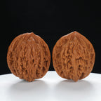 "Wheat Ear Tiger" Curated entry level Wenwan Walnuts Pair | Size:38L*35W*43H | UPI:UR-00035