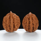 "Wheat Ear Tiger" Curated entry level Wenwan Walnuts Pair | Size:38L*35W*43H | UPI:UR-00035