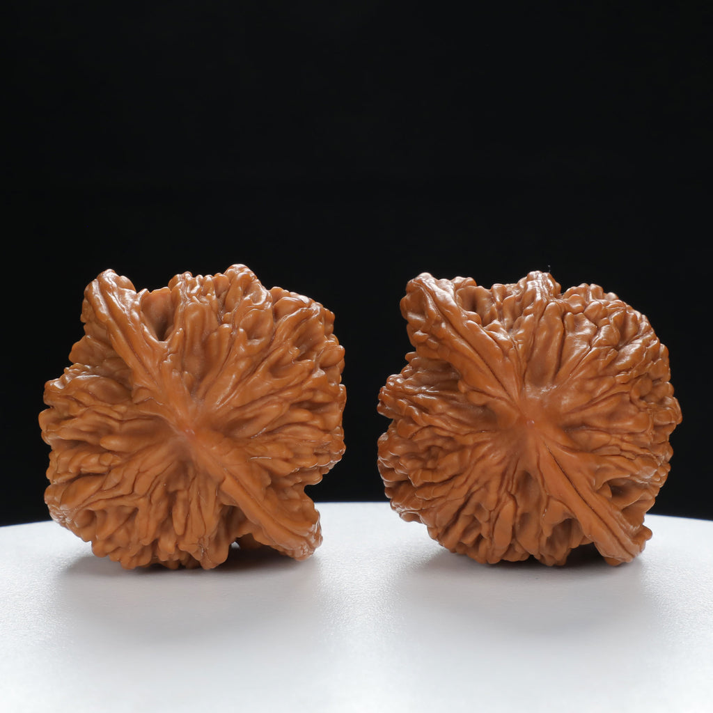 "Wheat Ear Tiger" Curated entry level Wenwan Walnuts Pair | Size:38L*35W*43H | UPI:UR-00035