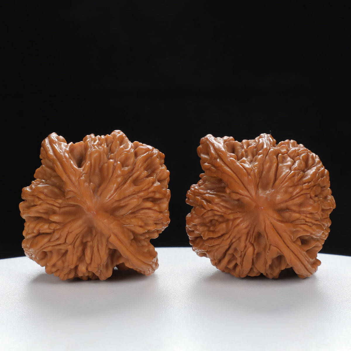"Wheat Ear Tiger" Curated entry level Wenwan Walnuts Pair | Size:38L*35W*43H | UPI:UR-00035