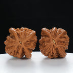 "Wheat Ear Tiger" Curated entry level Wenwan Walnuts Pair | Size:38L*35W*43H | UPI:UR-00035