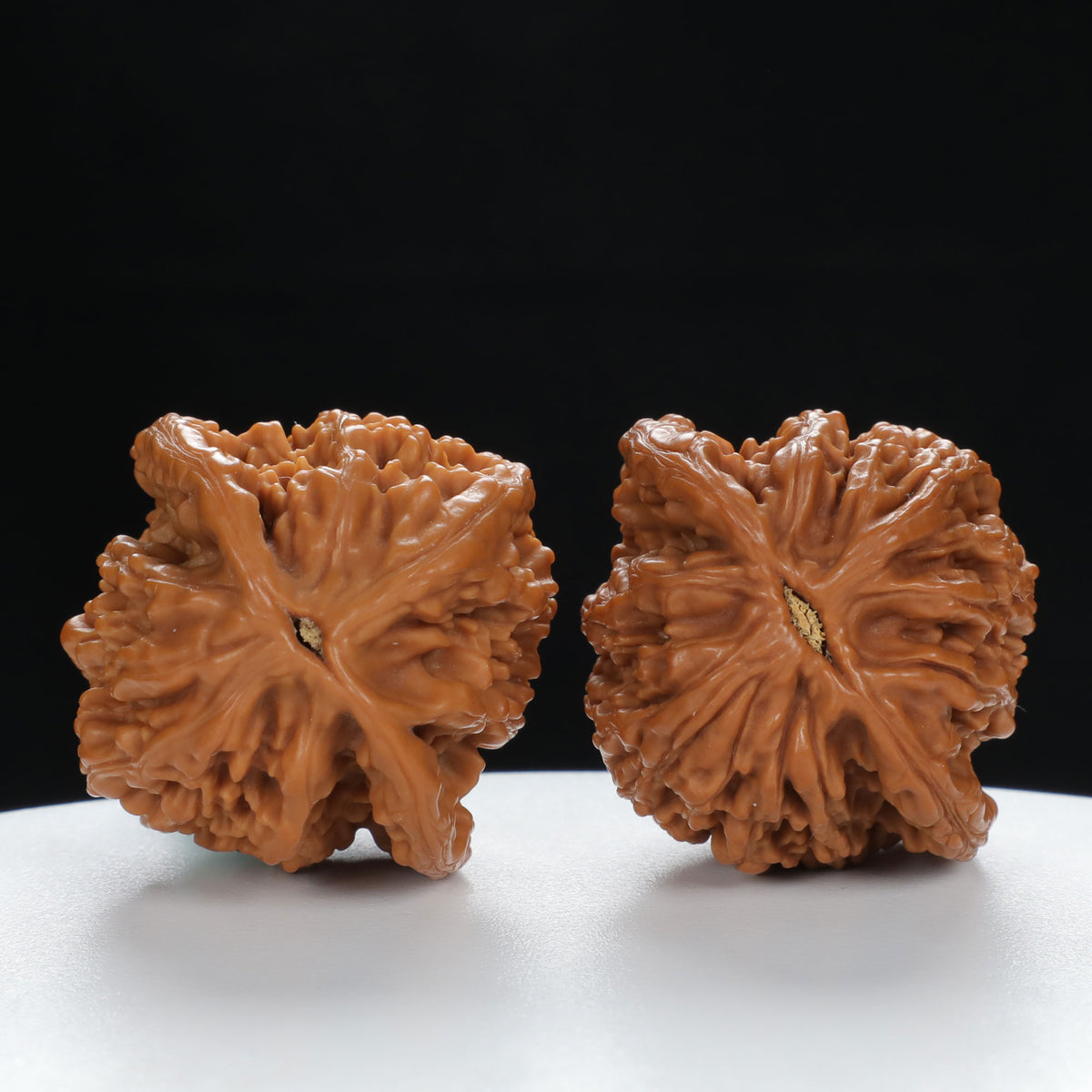 "Wheat Ear Tiger" Curated entry level Wenwan Walnuts Pair | Size:38L*35W*43H | UPI:UR-00035
