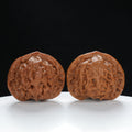 "Palace Lantern" Premium entry level Wenwan Walnuts Pair | Size:42L*38W*35H | UPI:UR-00037
