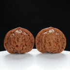 "Palace Lantern" Premium entry level Wenwan Walnuts Pair | Size:42L*38W*35H | UPI:UR-00037