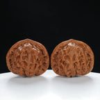 "Palace Lantern" Premium entry level Wenwan Walnuts Pair | Size:42L*38W*35H | UPI:UR-00037