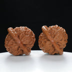 "Palace Lantern" Premium entry level Wenwan Walnuts Pair | Size:42L*38W*35H | UPI:UR-00037