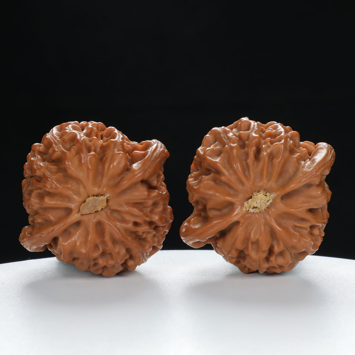 "Palace Lantern" Premium entry level Wenwan Walnuts Pair | Size:42L*38W*35H | UPI:UR-00037