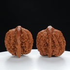 "Starry Sky" Vintage-style entry level Wenwan Walnuts Pair | Size:42L*37W*37H | UPI:UR-00038