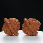 "Starry Sky" Vintage-style entry level Wenwan Walnuts Pair | Size:42L*37W*37H | UPI:UR-00038