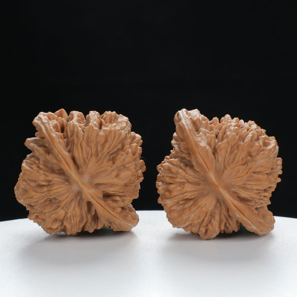 "Si Zuo Lou" Collector's entry level Wenwan Walnuts Pair | Size:41L*37W*37H | UPI:UR-00039