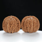 "Si Zuo Lou" Collector's entry level Wenwan Walnuts Pair | Size:41L*37W*37H | UPI:UR-00039