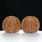 "Si Zuo Lou" Collector's entry level Wenwan Walnuts Pair | Size:41L*37W*37H | UPI:UR-00039